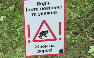Інформаційні таблиці в НПП Голосіївський