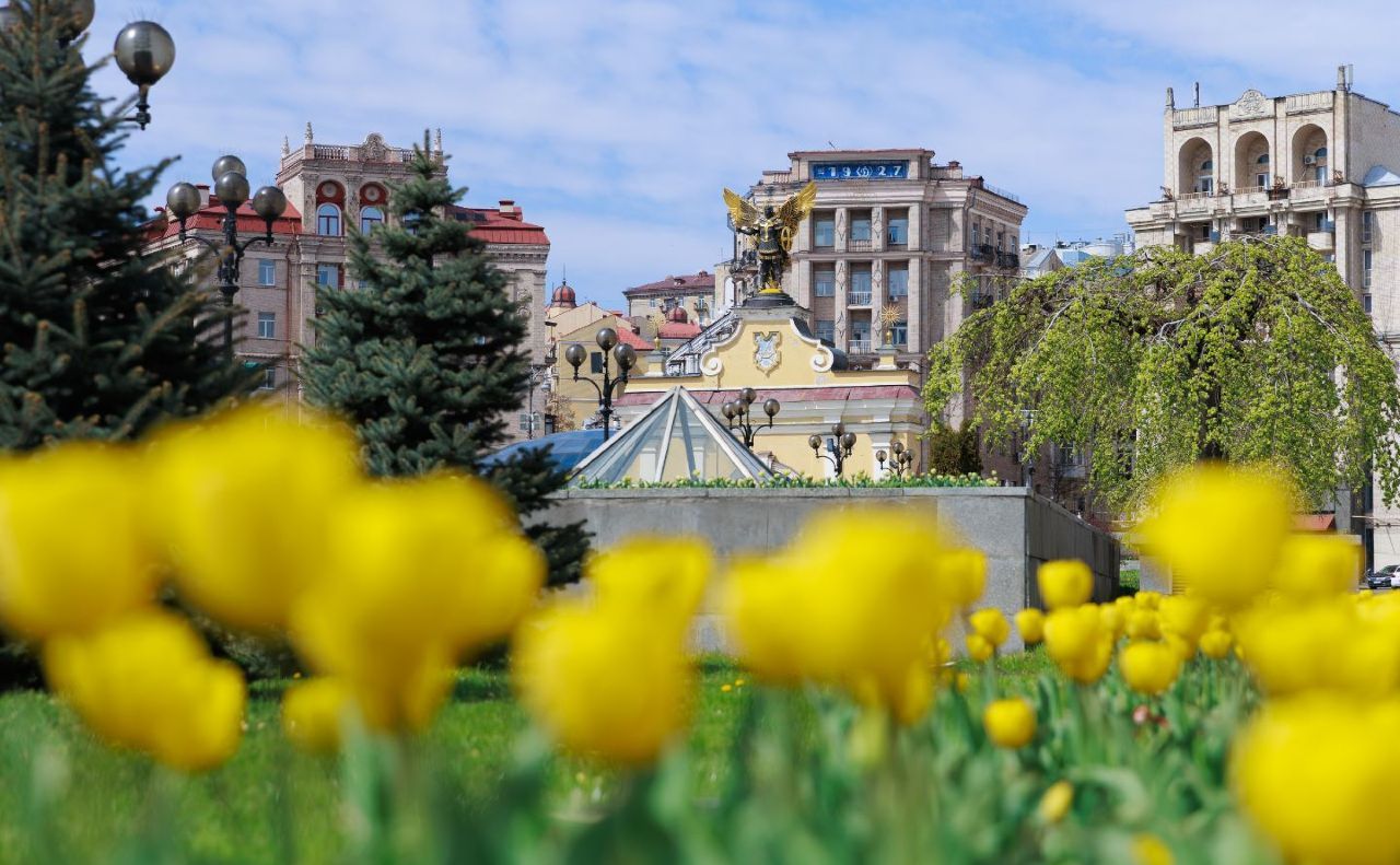 Київ прикрасили тюльпани з Нідерландів. Фото: Київзеленбуд