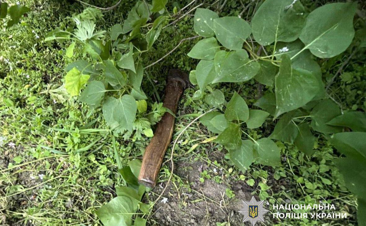 Сокира, яку знайшли поліцейські на місці інциденту. Фото: Нацполіція