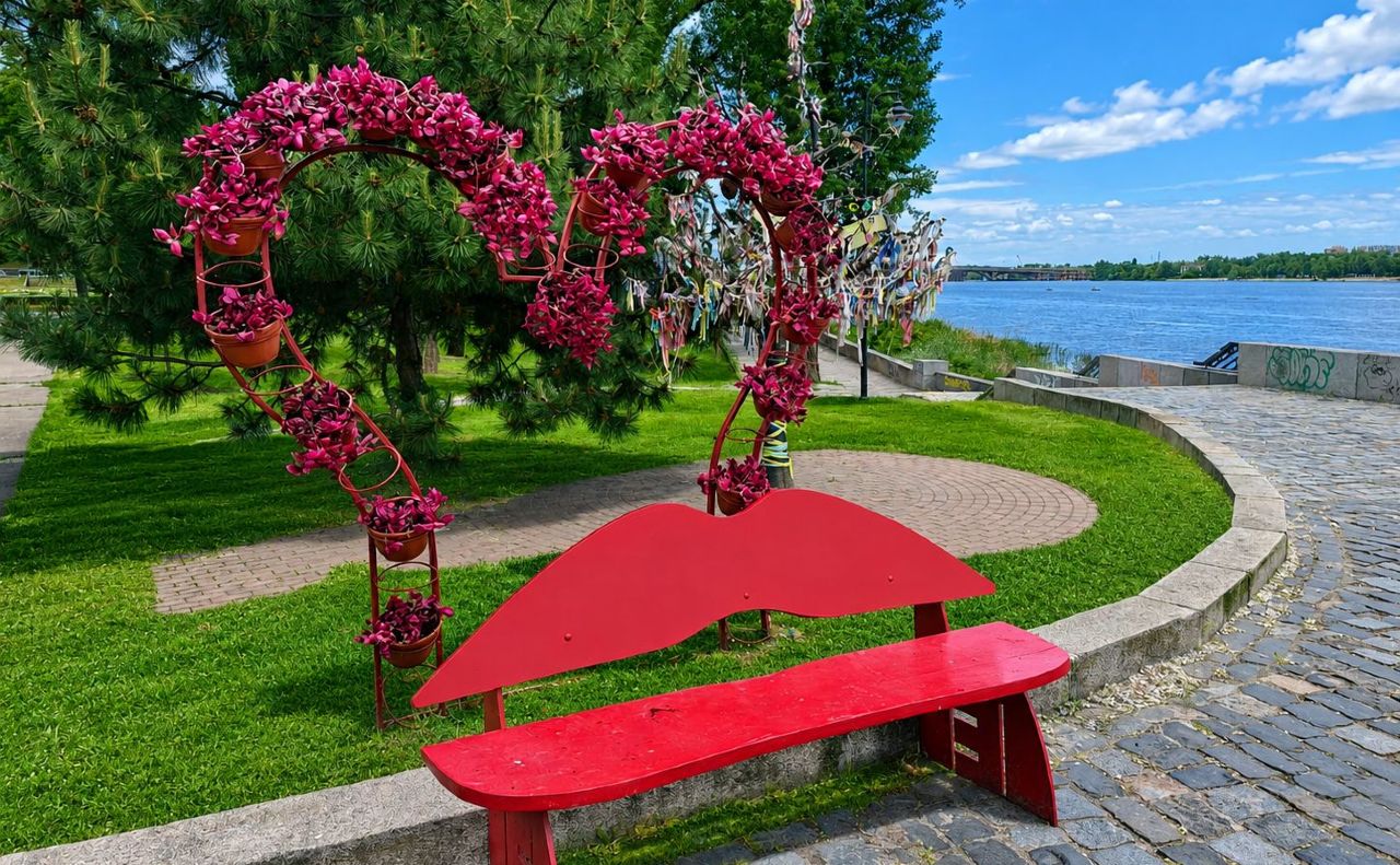 Наводницький парк. Фото: КП УЗН Печерського району столиці у Фейсбук