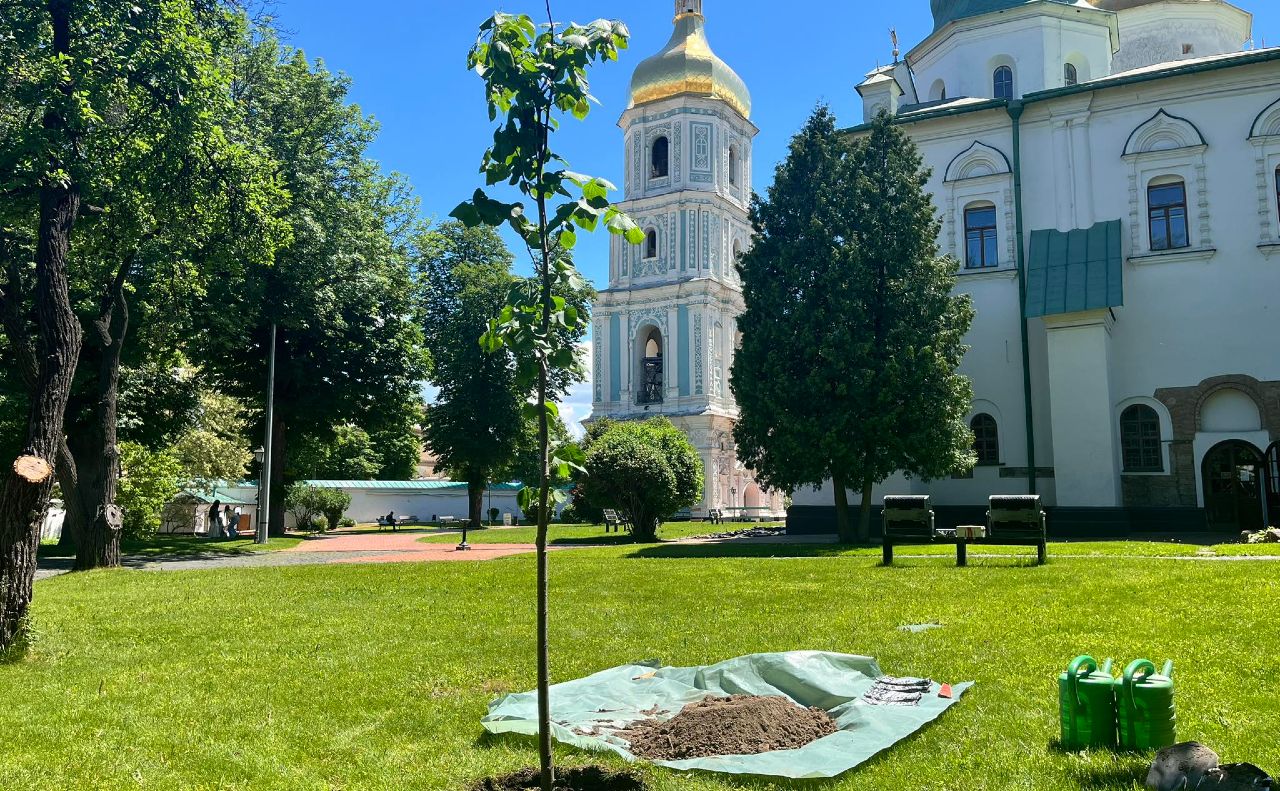 Алея київський князівен в столиці. Фото: «Софія Київська» у Фейсбук