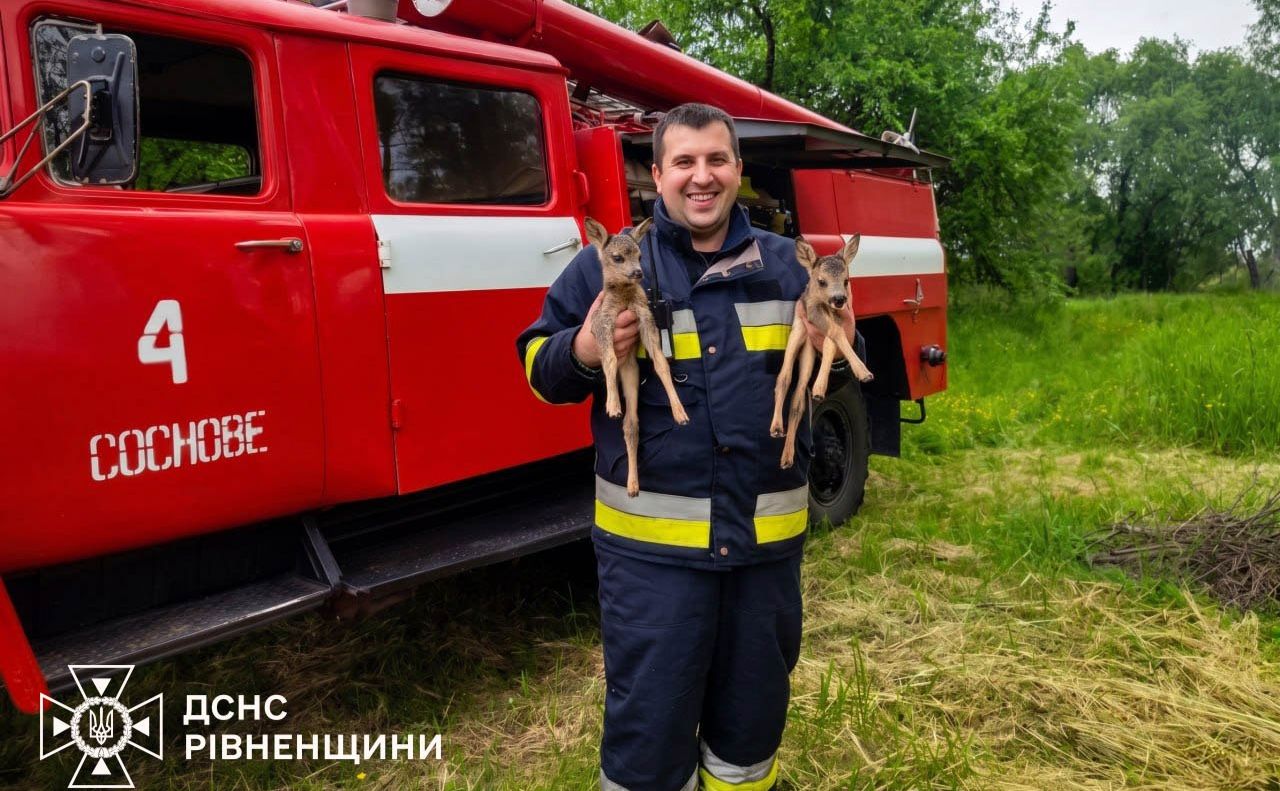 Оленята та їхній рятівник. Фото: ДСНС у Телеграм