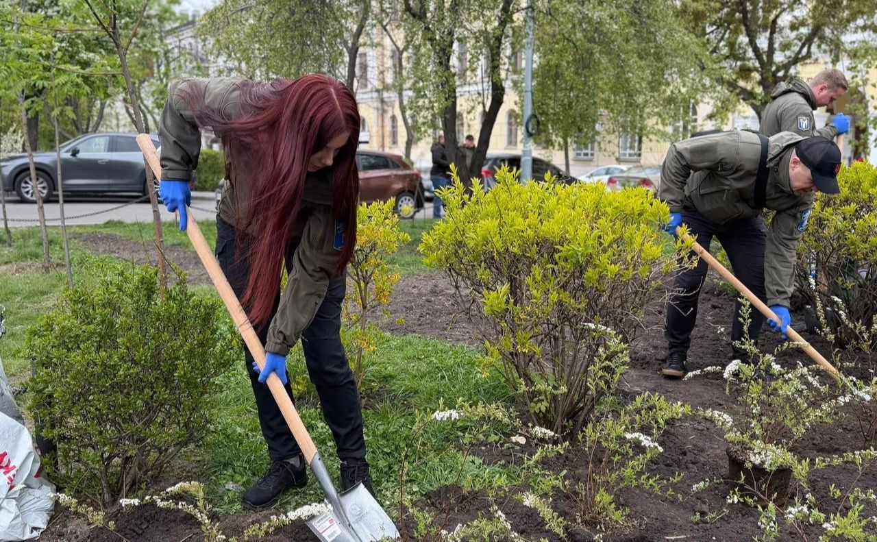 Толоки в Києві. Фото: з сайту КМДА
