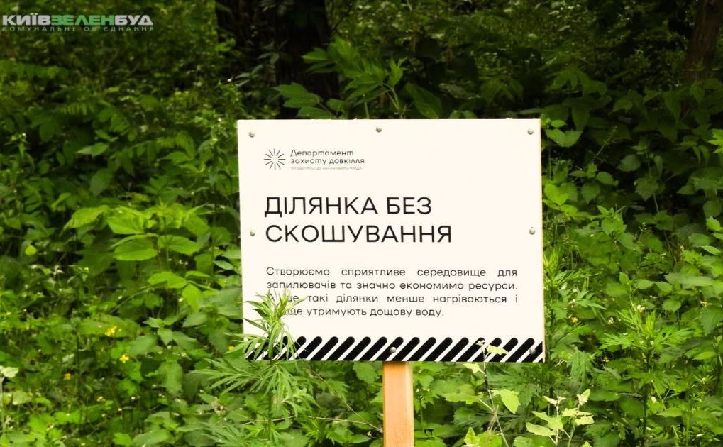 «Ділянка без скошування». Фото: Київзеленбуд у Фейсбук