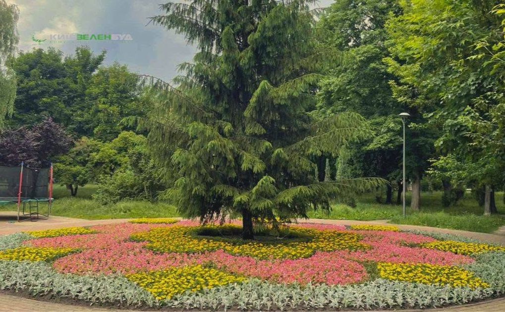 Квіткове панно символізує квітку троянди. Фото: Київзеленбуд