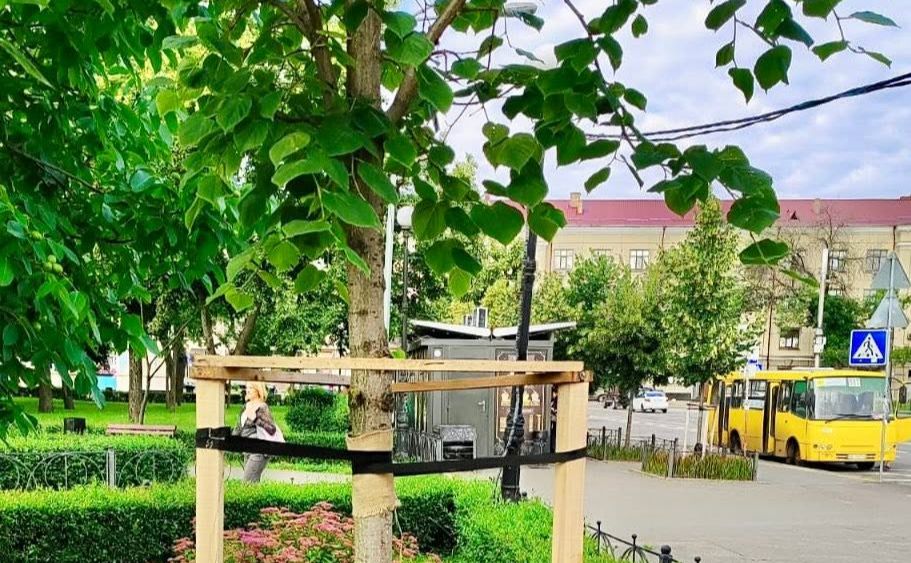Щоб Поділ був зелений та затишний: показали молоді дерева та формування чагарників. ФОТО