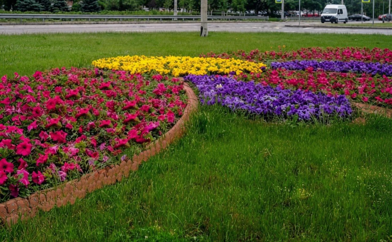 Сурфінія квітнутиме аж до осені. Фото: Київзеленбуд у Фейсбук