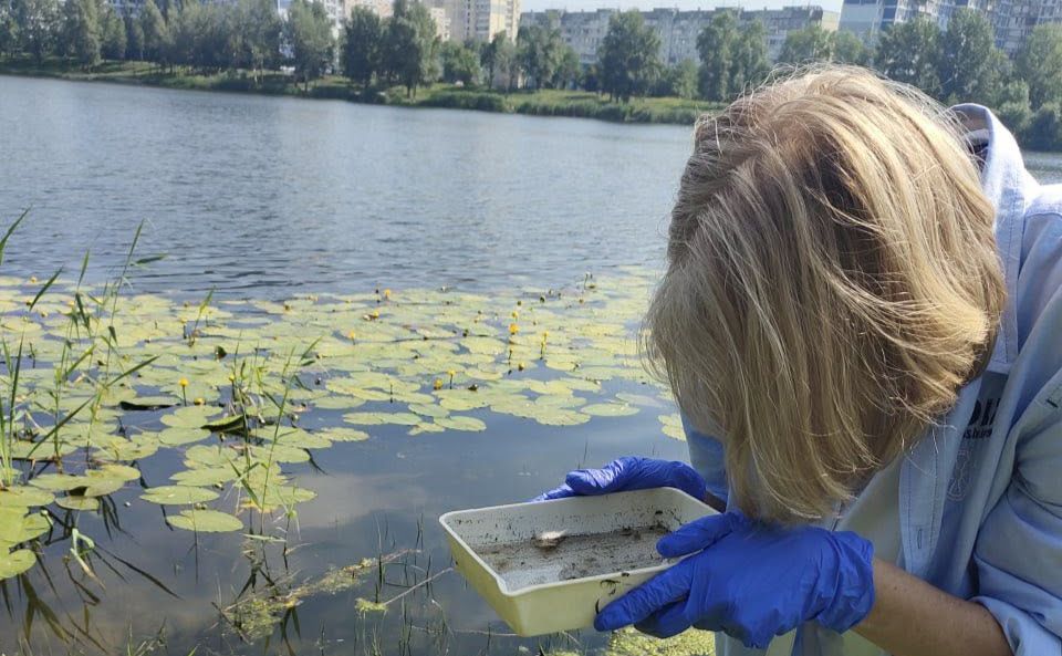Фахівці «виловлюють» комарів біля водойм для дослідження