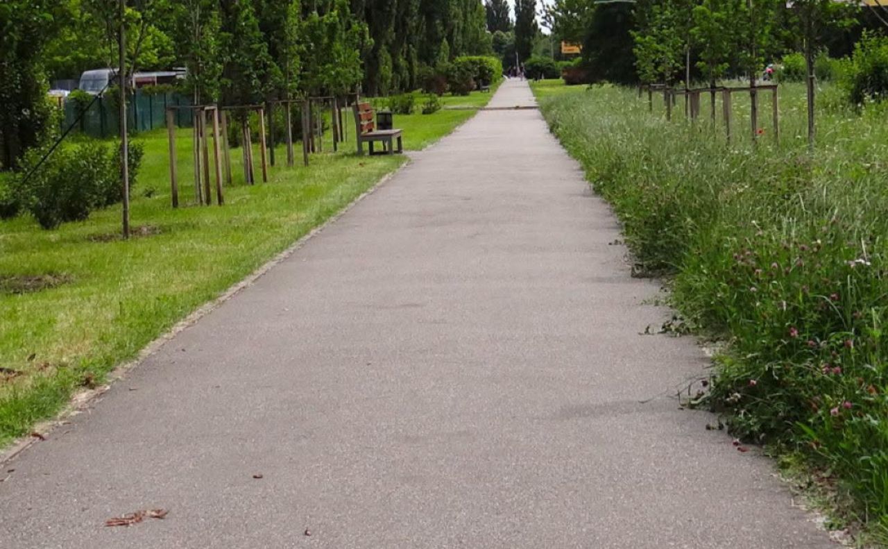 Сквер на розі проспекту Леся Курбаса та вулиці Героїв Космосу. Фото: Київзеленбуд