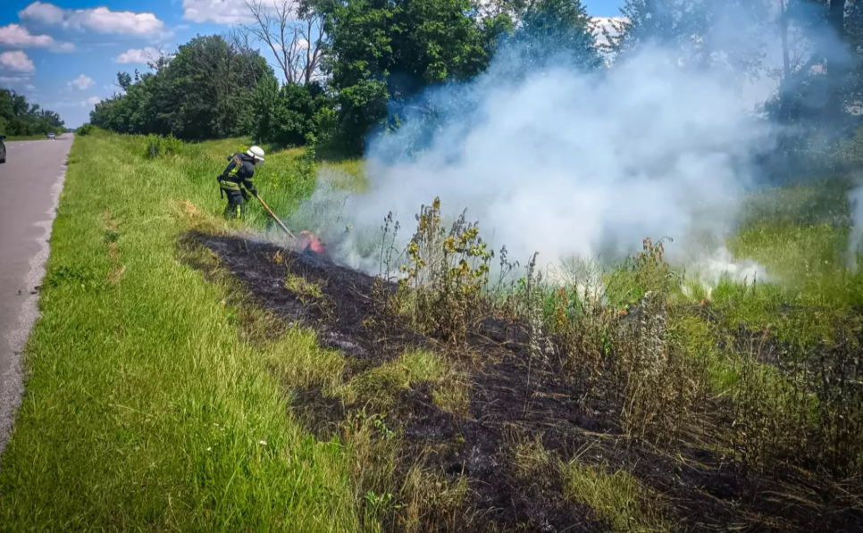 Гасіння пожежі 24 червня на Білоцерківщині. Фото: ДСНС Київщини