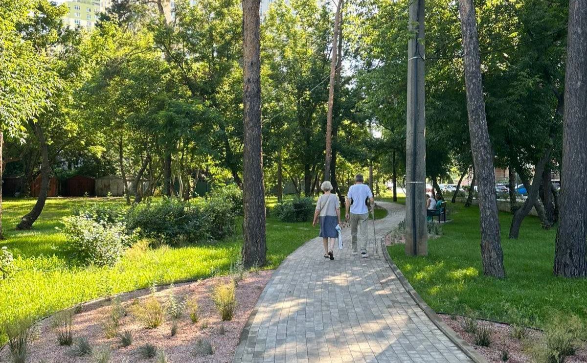 Сквер на вулиці Воскресенській у Києві. Фото: Київзеленбуд