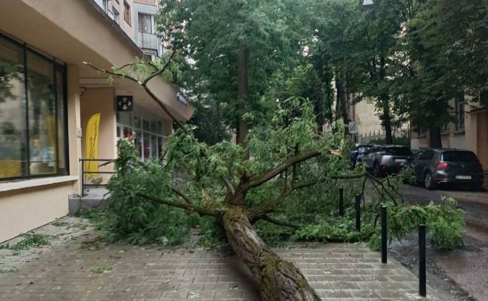 У Львові ліквідовують наслідки негоди. Фото: Андрій Садовий у Телеграм