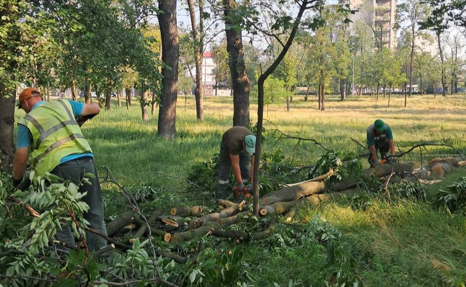 Працівники районного КП УЗН прибирають повалені дерева. Фото: Дарницька РДА