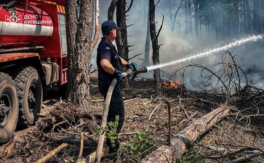 До ліквідації пожежі залучили понад 260 осіб