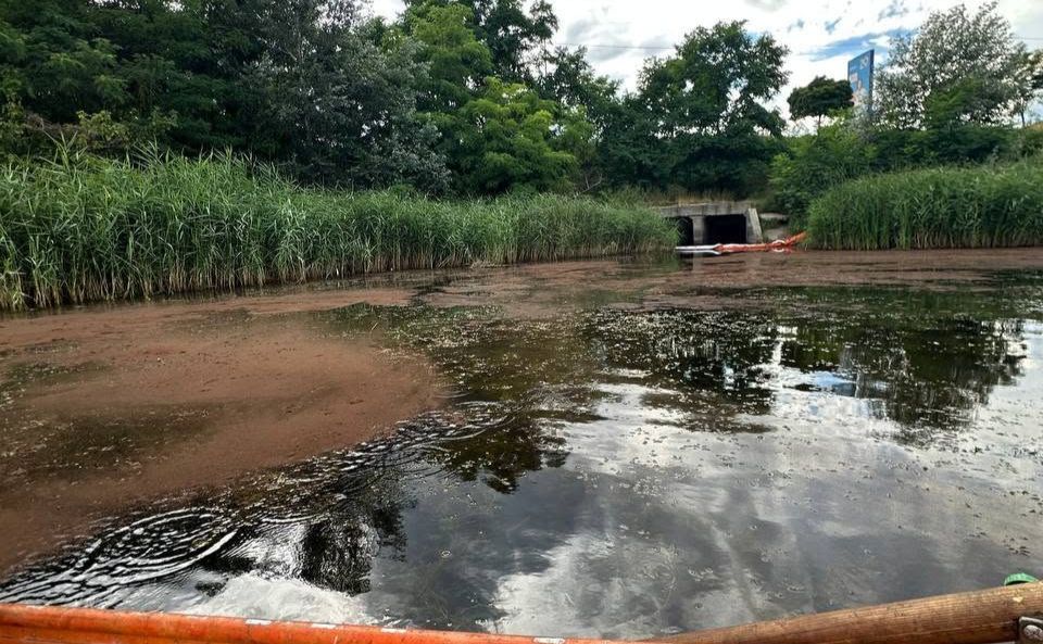 На перетоку між Кирилівським та Йорданським застосували екосорбент. Фото: ГО «Почайна»