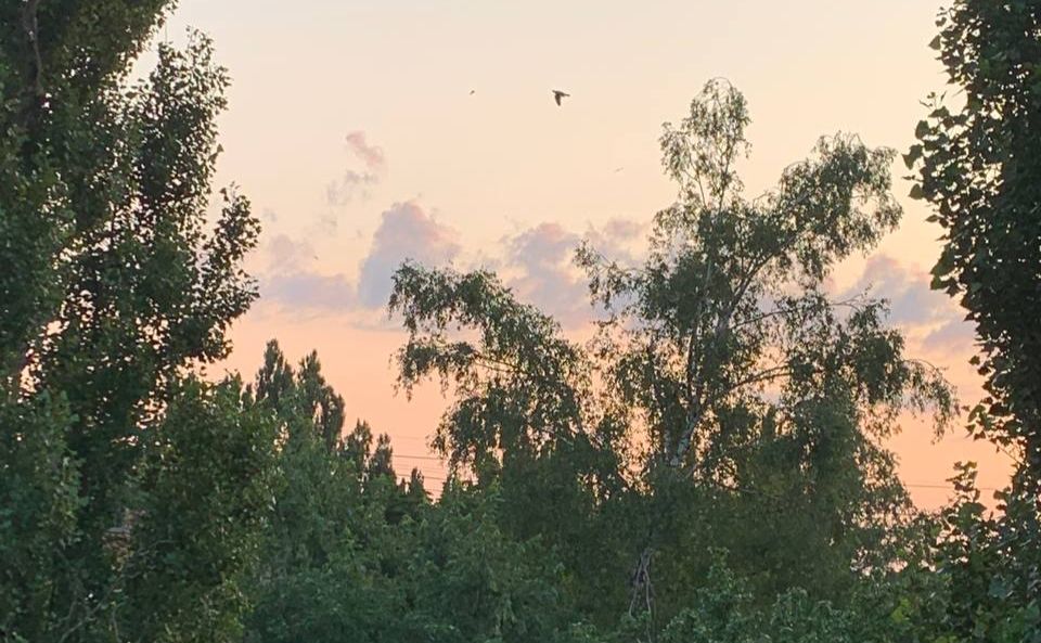 Пожежи виникли на об’єктах в двох районахі. Фото: Ірина Голотюк