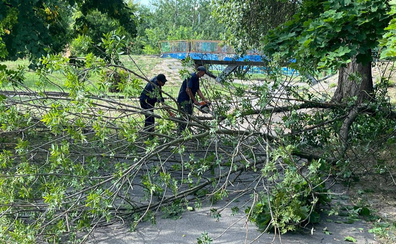 В Броварах триває санітарна розчистка. Фото: міський голова Ігор Сапожко у Телеграм