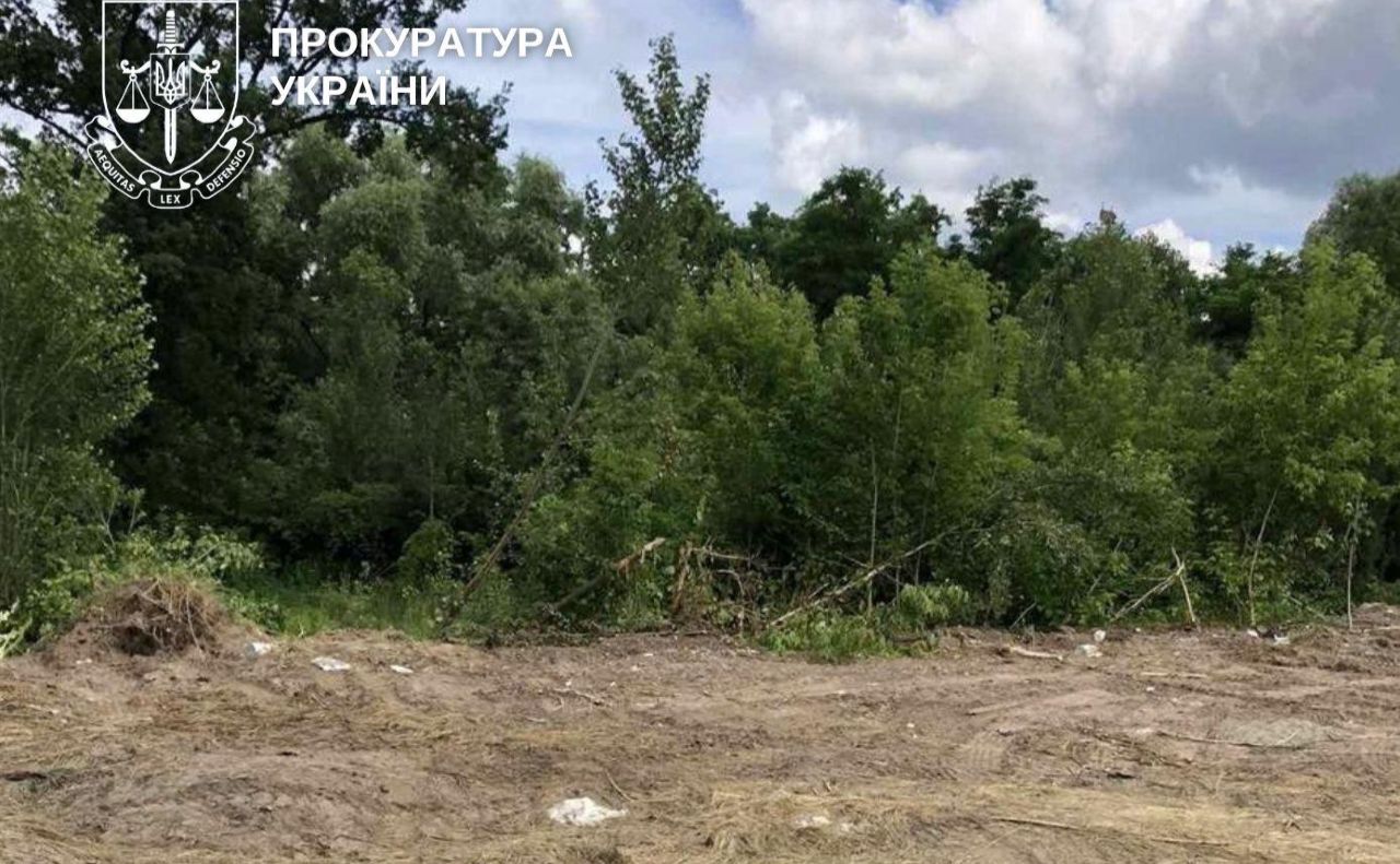 Власник прибрав шість боксів та має заплатити штраф. Фото: Київська міська прокуратура