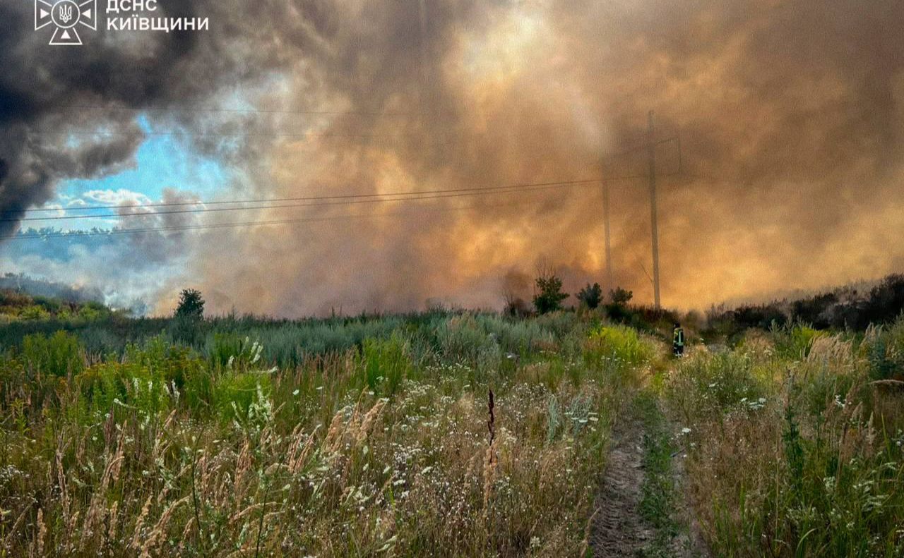 Вогонь поширився на відкриті території. Фото: ДСНС Київщини