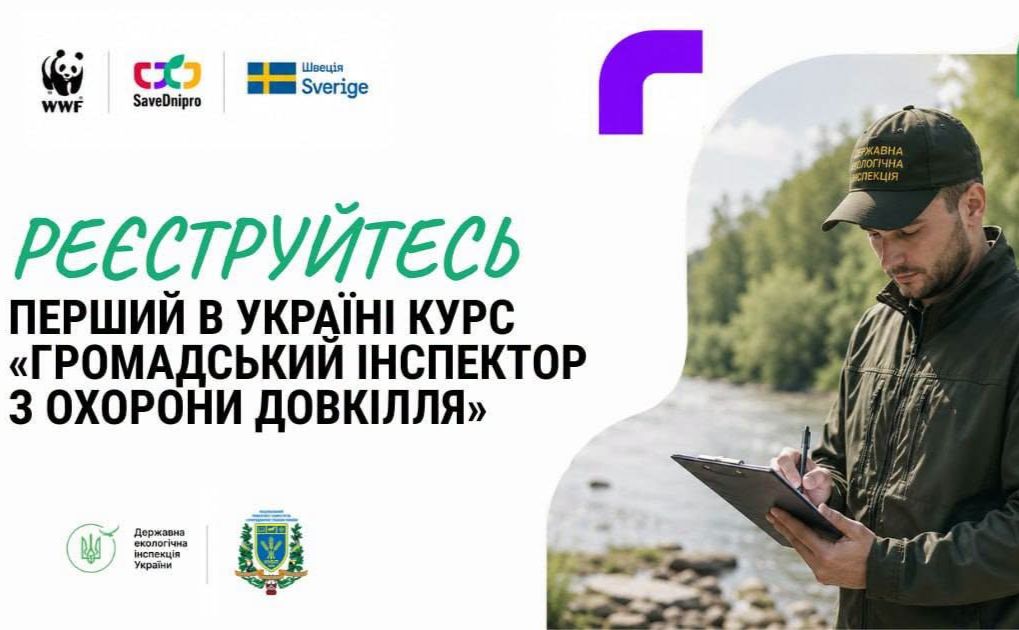 Інфографіка ДЕІ