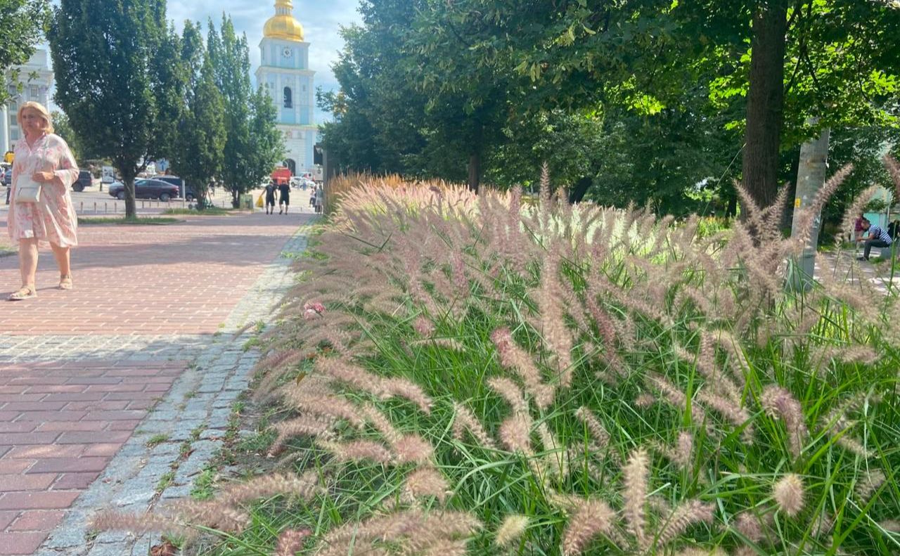 Екологічність — одна з важливих рис локацій з декоративними злаками. Фото: КМДА