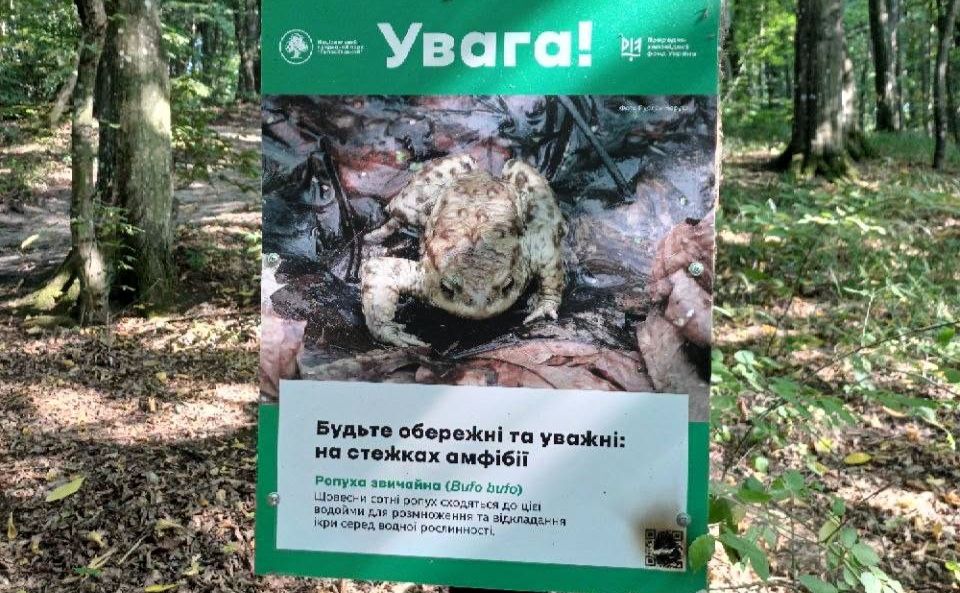 Стенди обмальовують та підпалюють. Фото: Національний парк «Голосіївський»