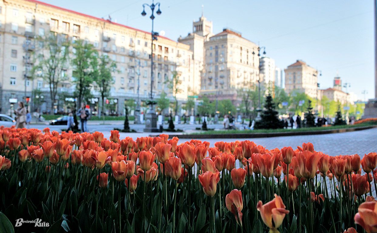 Ілюстративне фото Бориса Корпусенка