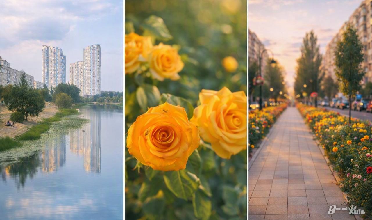 Фото: Тетяна Асадчева, колаж: ШІ