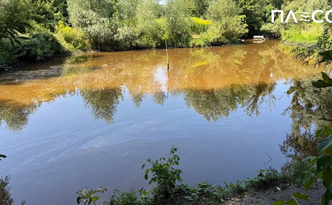 У воді виявили складне хімічне та органічне забруднення. Фото: КП «Плесо»
