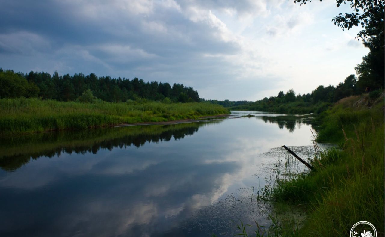 Науковці працюють у рамках програми Літопису природи. Фото: Віктор Демченко