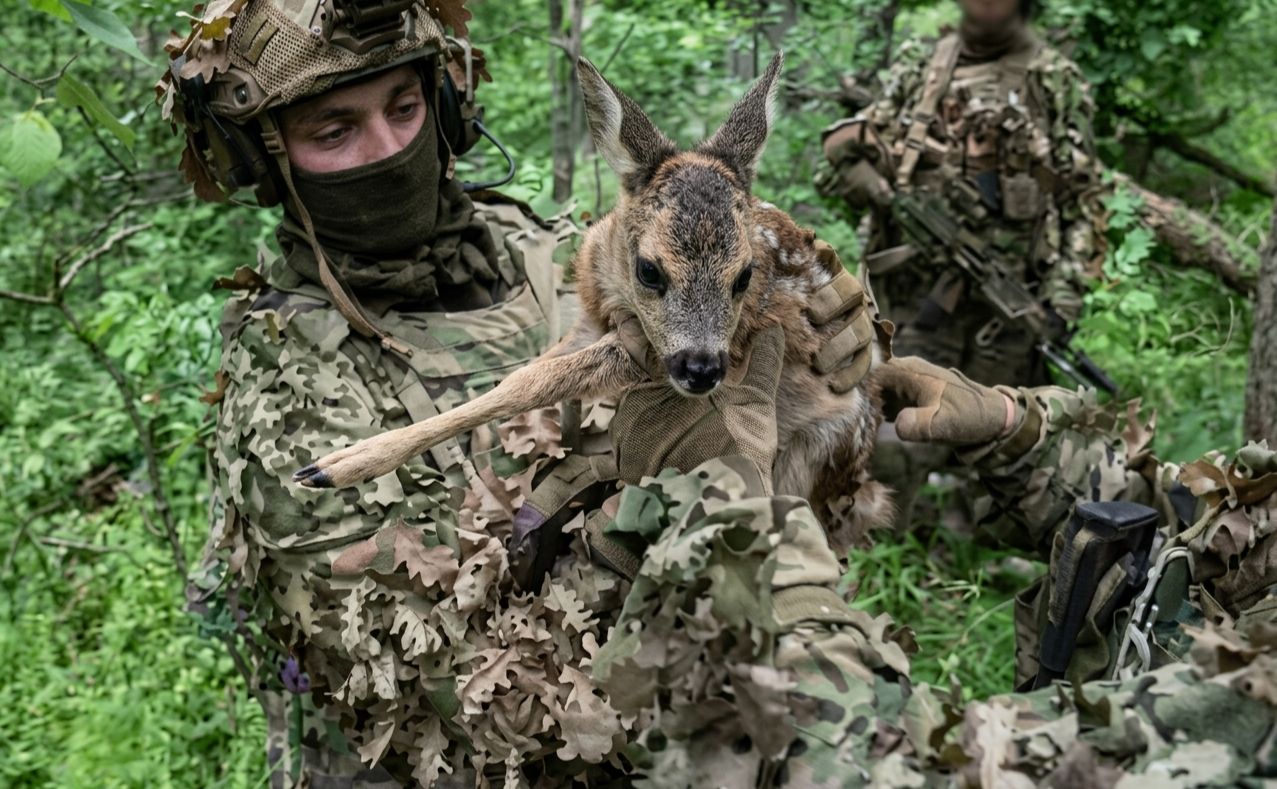 Фото: скриншот з відео, поліпшений за допомогою ШІ 