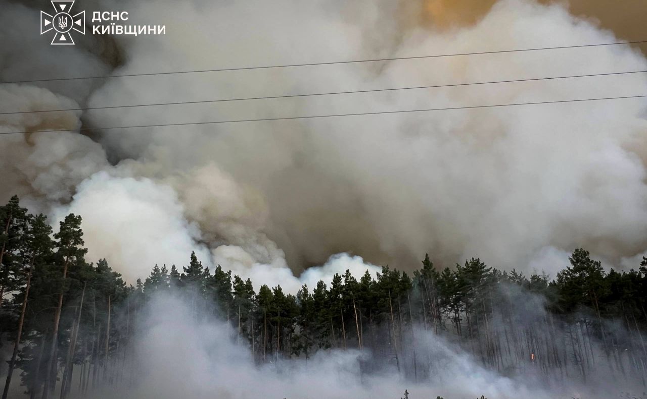 Пожежа у лісовому масиві на Київщині. Фото: ДСНС