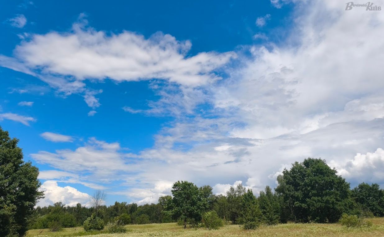 Ландшафти Дніпровських островів. Фото: «Вечірній Київ»