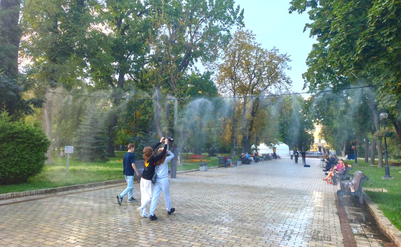 Спека. Парк ім. Т.Г. Шевченка. Фото: «Вечірній Київ»