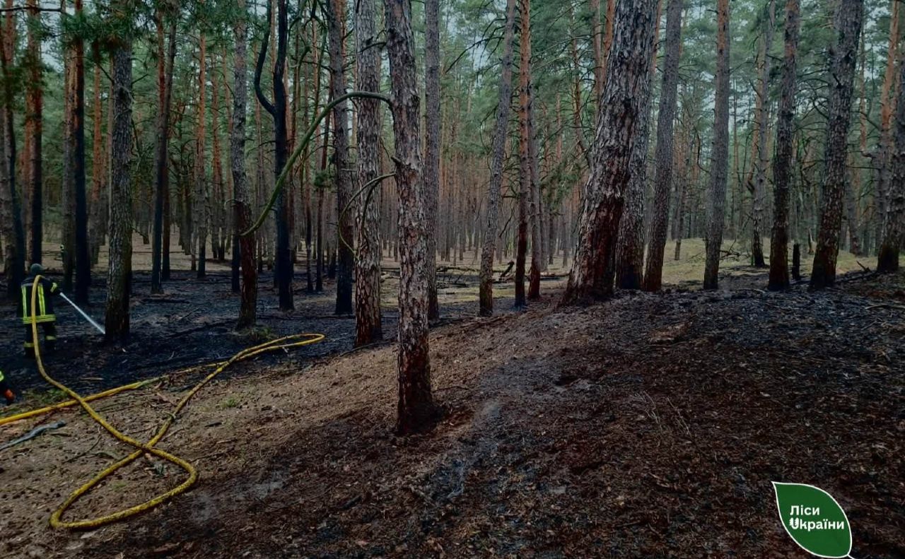 Від ворожих обстрілів горить ліс. Фото ДП «Ліси України»