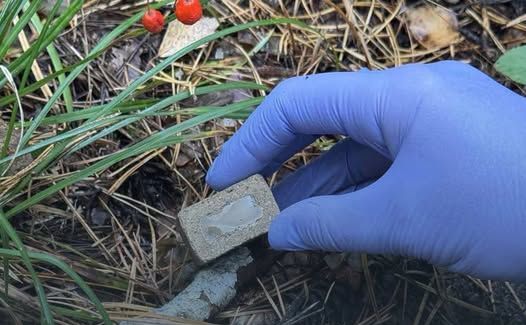 Усередині брикету міститься желеподібна капсула з вакциною. Фото: ГУ Держпродспоживслужби у Києві