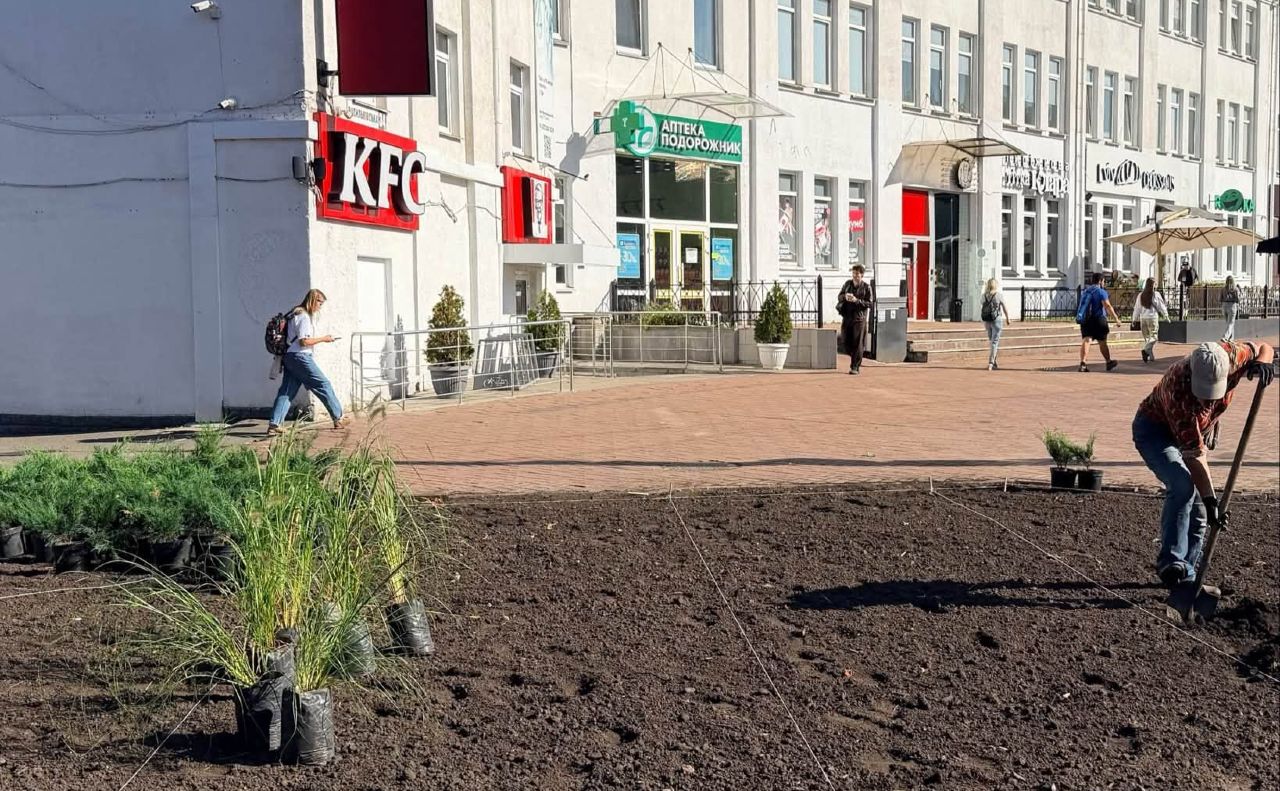 Замість МАФів буде зелена зона. Фото: КП УЗН Голосіївського району