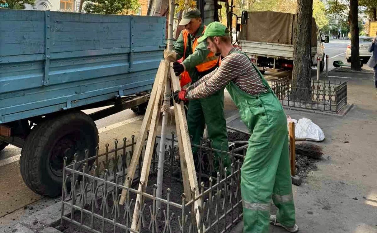 Молоді дерева огороджують та підпирають. Фото: КП УЗН Шевченківського району