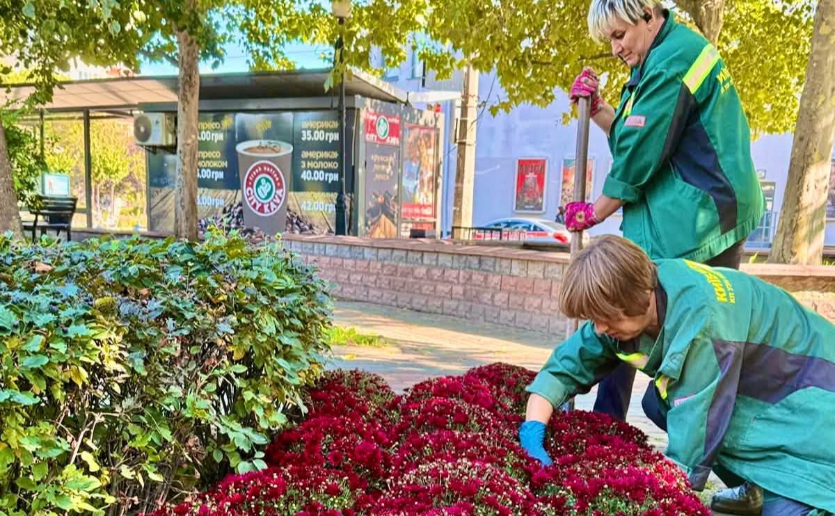 Осінні квіти на Подолі. Фото: КО «Київзеленбуд»