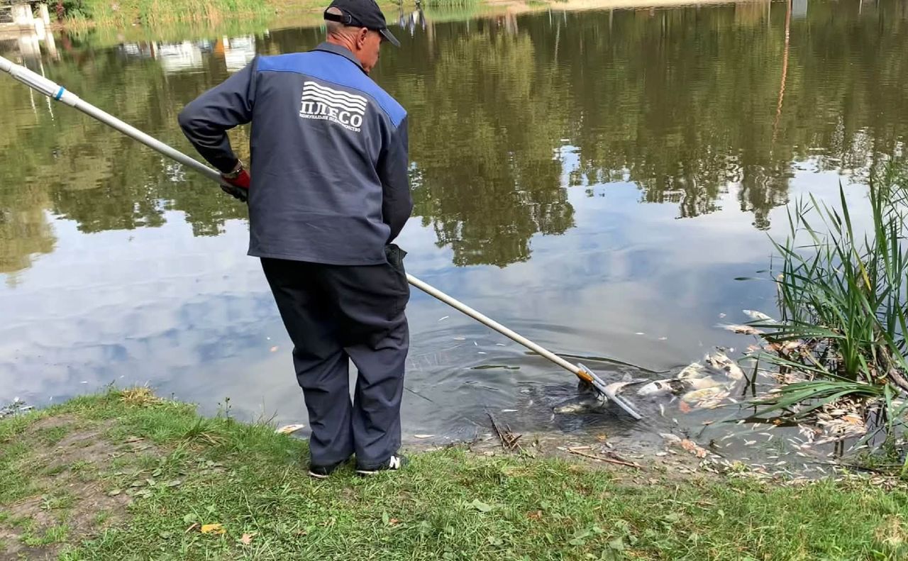 Праціник чистить забруднену річку Любка. Фото: КП «Плесо»