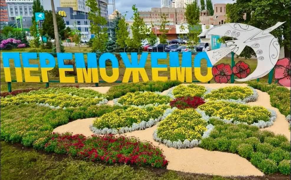 Композиція з хризантем. Фото: КП УЗН Дарницького району