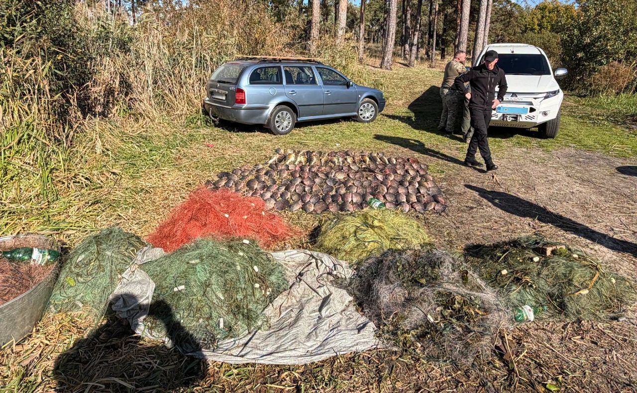 Улов, сітки та човен вилучили до рішення суду. Фото: Держагенція з розвитку меліорації, рибного господарства та продовольчих програм
