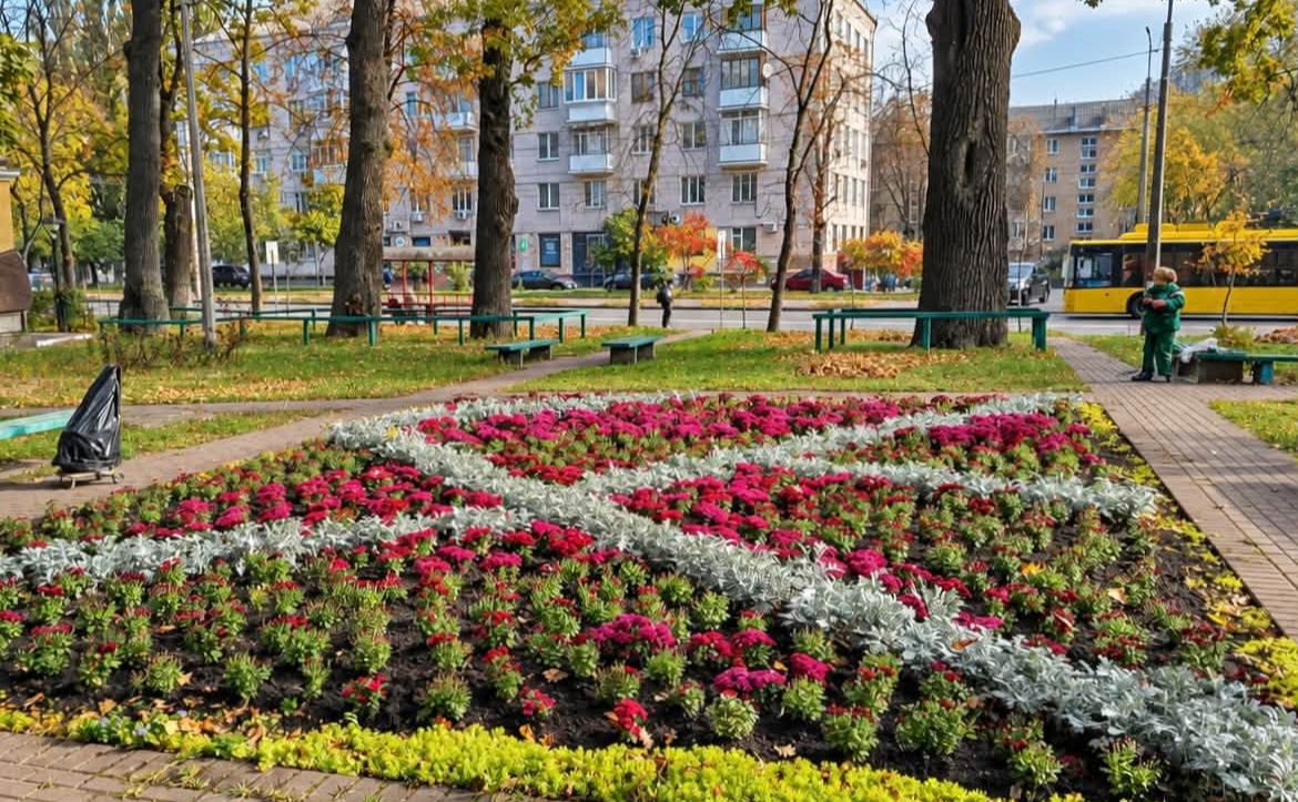 У парку Гірка Крістера в Києві висадили хризантемові поляни