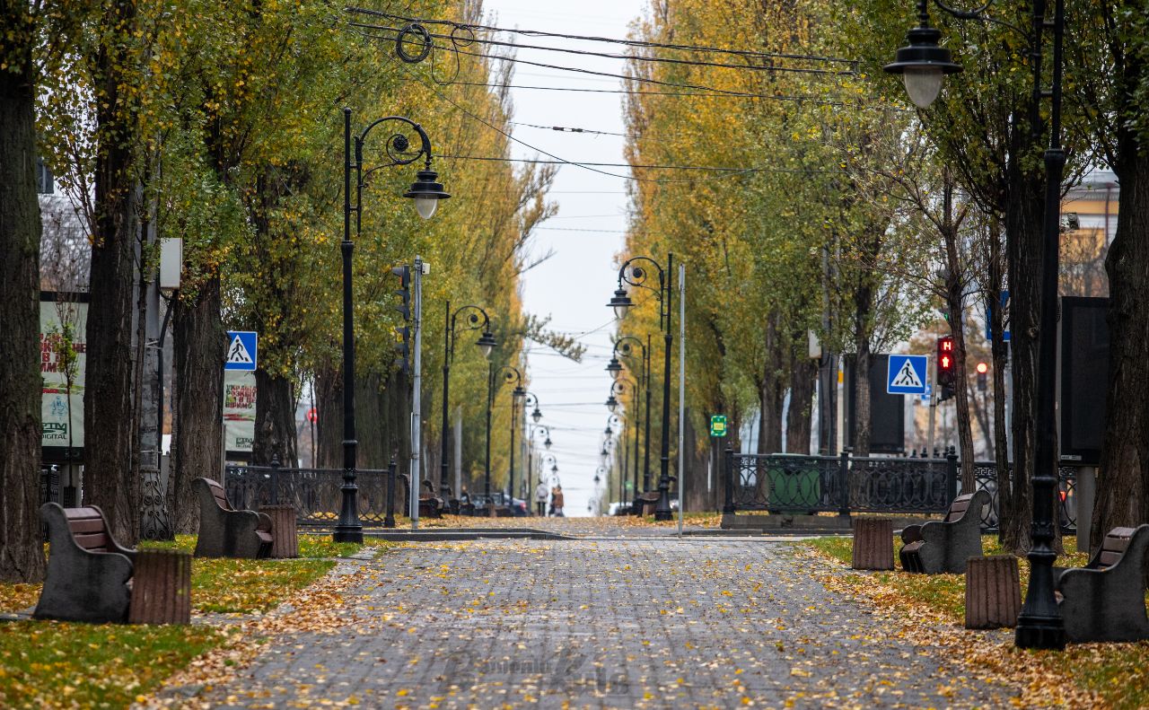 Ілюстративне фото Олексія Самсонова