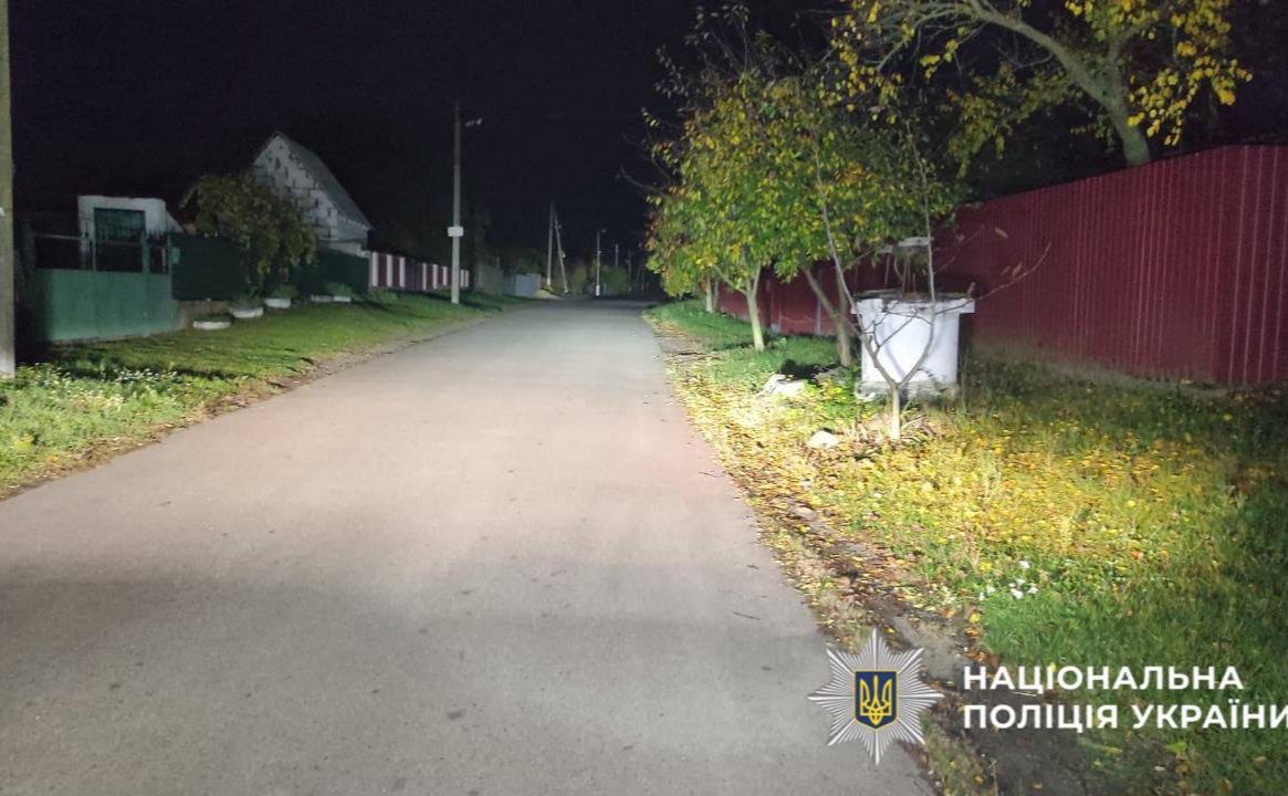 Місце ДТП — сільська вулиця. Фото: Нацполіція